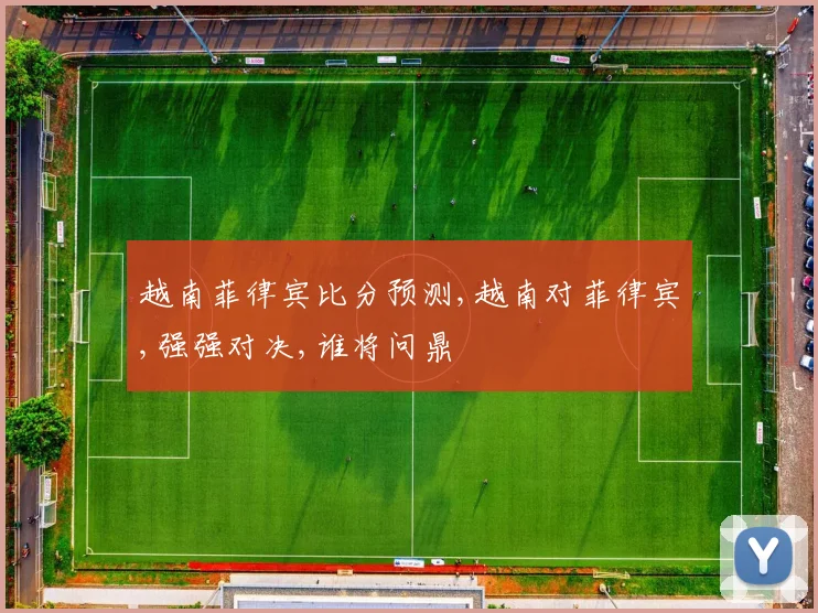 越南菲律宾比分预测,越南对菲律宾,强强对决,谁将问鼎