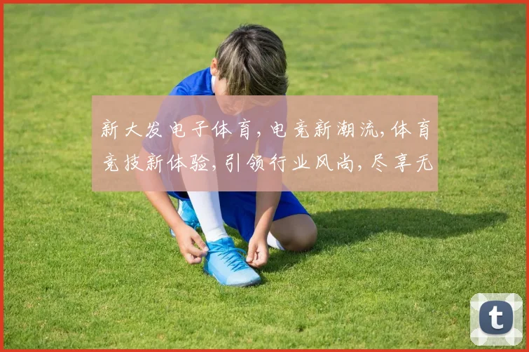 新大发电子体育,电竞新潮流,体育竞技新体验,引领行业风尚,尽享无限精彩