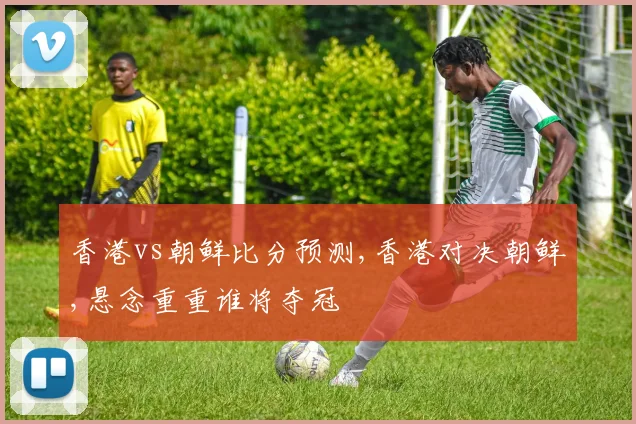 香港vs朝鲜比分预测,香港对决朝鲜,悬念重重谁将夺冠