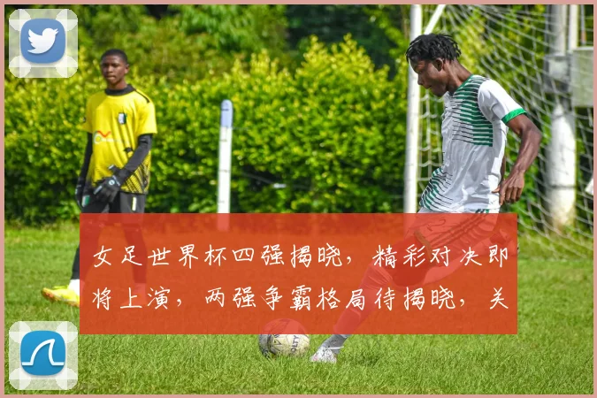 女足世界杯四强揭晓，精彩对决即将上演，两强争霸格局待揭晓，关注哪队晋级
