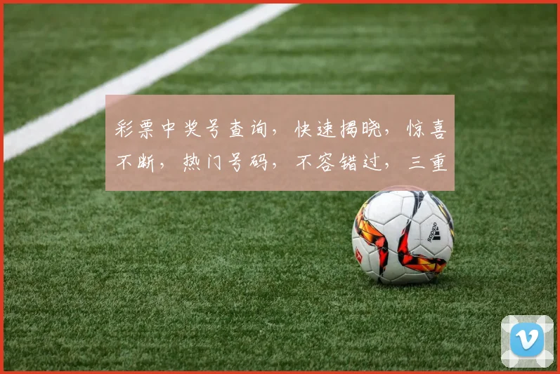 彩票中奖号查询，快速揭晓，惊喜不断，热门号码，不容错过，三重福利