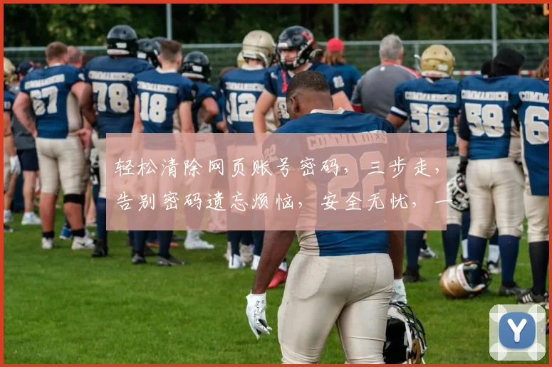 轻松清除网页账号密码，三步走，告别密码遗忘烦恼，安全无忧，一劳永逸